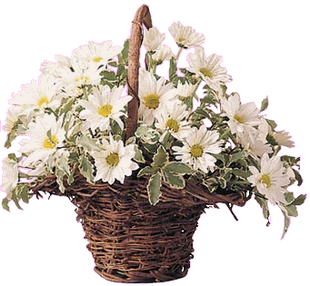 fleurs et nature (141).gif